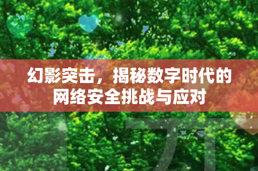 幻影突击,揭秘数字时代的网络安全挑战与应对 幻影突击,揭秘数字时代的网络安全挑战与应对