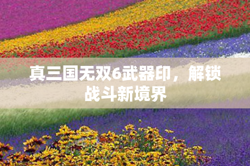 真三国无双6武器印，解锁战斗新境界
