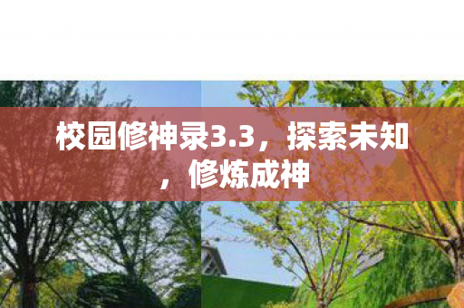 校园修神录3.3，探索未知，修炼成神