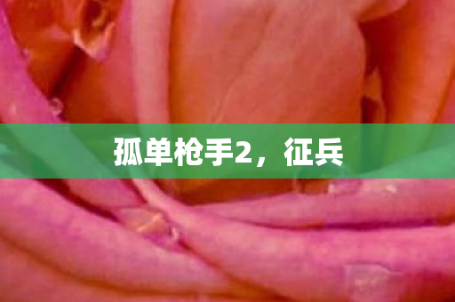 孤单枪手2，征兵