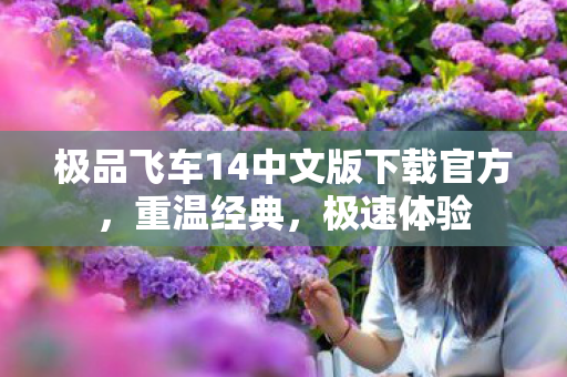 极品飞车14中文版下载官方，重温经典，极速体验