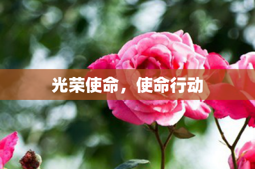 光荣使命，使命行动