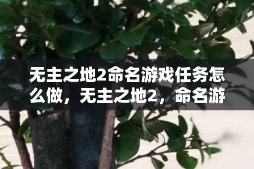 无主之地2命名游戏任务怎么做图片