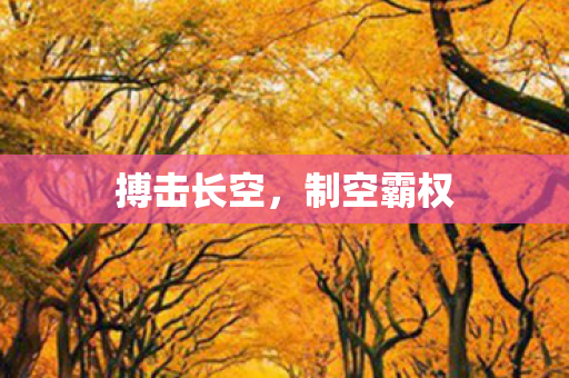 搏击长空，制空霸权