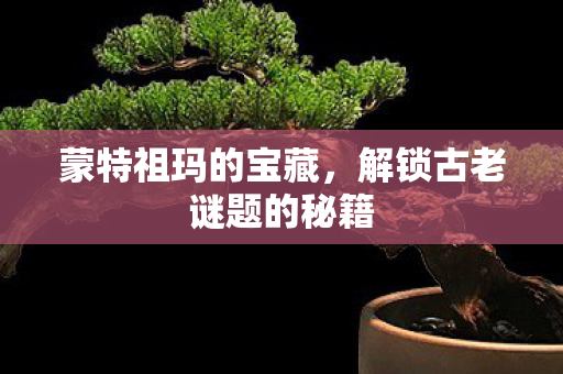 蒙特祖玛的宝藏，解锁古老谜题的秘籍