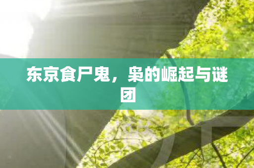 东京食尸鬼，枭的崛起与谜团