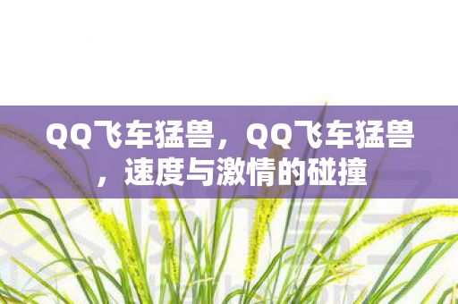 QQ飞车猛兽,QQ飞车猛兽,速度与激情的碰撞 QQ飞车猛兽,QQ飞车猛兽,速度与激情的碰撞