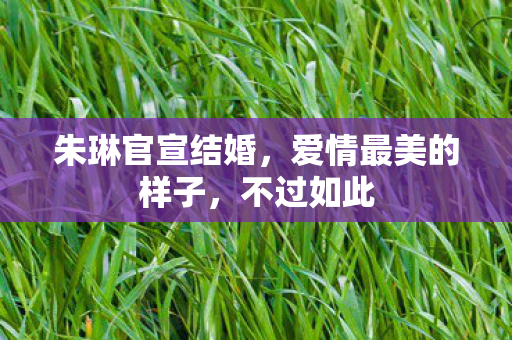 朱琳官宣结婚,爱情最美的样子,不过如此 朱琳官宣结婚,爱情最美的样子,不过如此