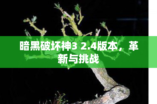暗黑破坏神3 2.4版本，革新与挑战