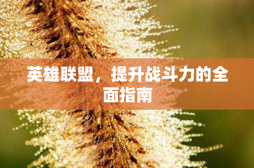 英雄联盟，提升战斗力的全面指南