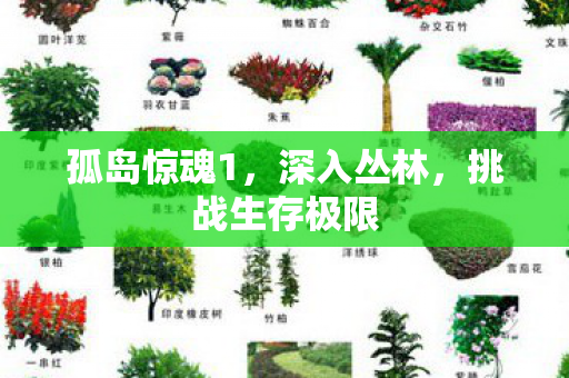 孤岛惊魂1,深入丛林,挑战生存极限 孤岛惊魂1,深入丛林,挑战生存极限