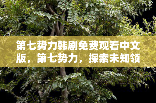 第七势力韩剧免费观看中文版，第七势力，探索未知领域的先驱者
