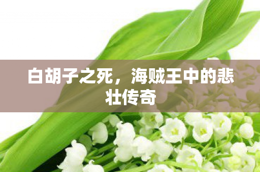 白胡子之死,海贼王中的悲壮传奇 白胡子之死,海贼王中的悲壮传奇