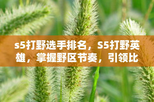 s5打野选手排名，S5打野英雄，掌握野区节奏，引领比赛胜利