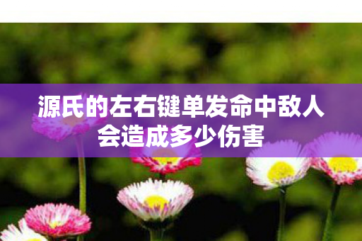源氏的左右键单发命中敌人会造成多少伤害