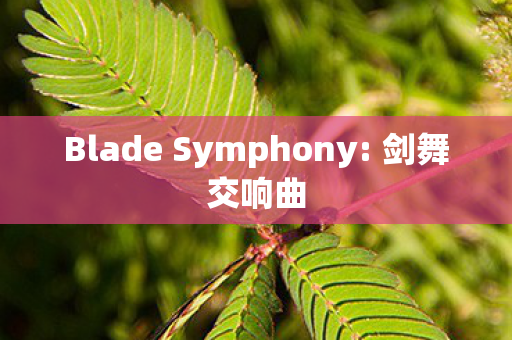 Blade Symphony: 剑舞交响曲