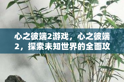 心之彼端2游戏，心之彼端2，探索未知世界的全面攻略