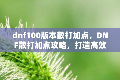 dnf100版本散打加点，DNF散打加点攻略，打造高效战斗力的关键