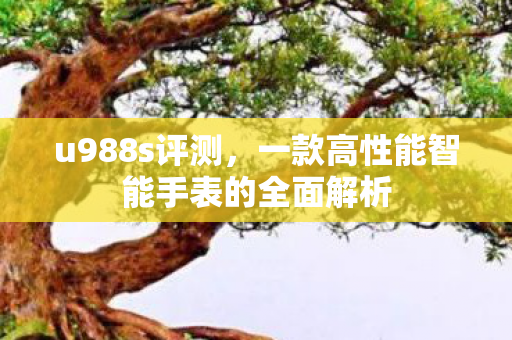 u988s评测，一款高性能智能手表的全面解析