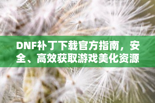 DNF补丁下载官方指南，安全、高效获取游戏美化资源