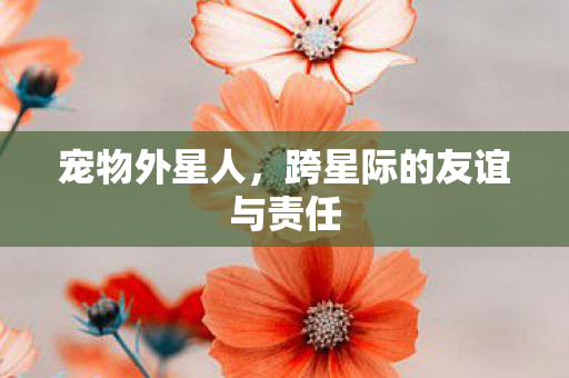 宠物外星人，跨星际的友谊与责任