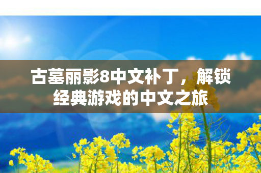 古墓丽影8中文补丁，解锁经典游戏的中文之旅
