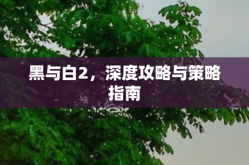 黑与白2，深度攻略与策略指南