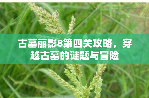 古墓丽影8第四关攻略,穿越古墓的谜题与冒险 古墓丽影8第四关攻略,穿越古墓的谜题与冒险
