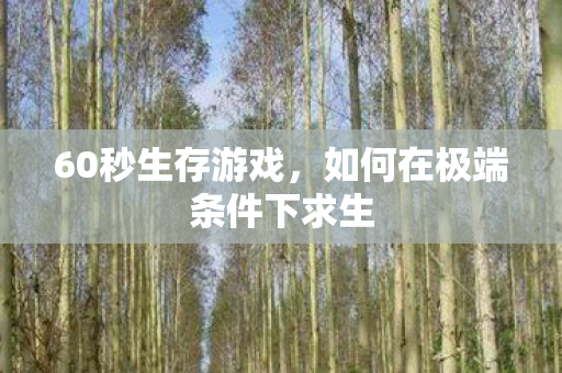60秒生存游戏，如何在极端条件下求生