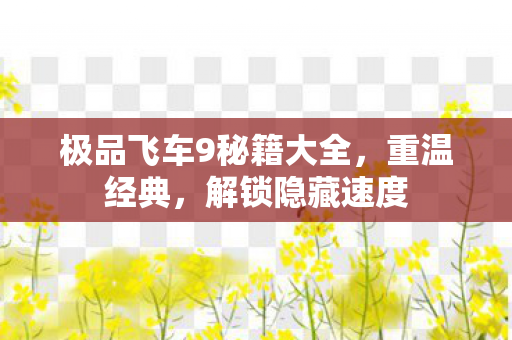 极品飞车9秘籍大全，重温经典，解锁隐藏速度