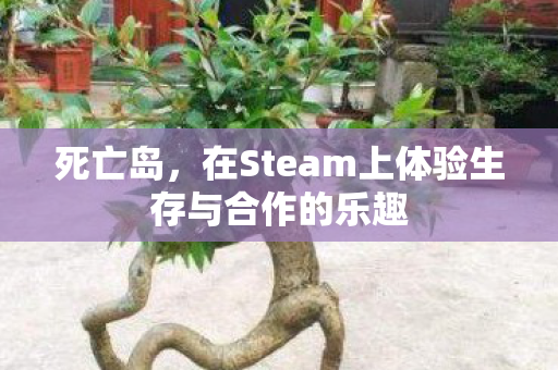 死亡岛,在Steam上体验生存与合作的乐趣 死亡岛,在Steam上体验生存与合作的乐趣