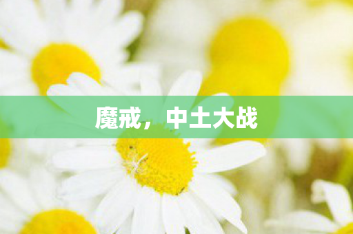 魔戒，中土大战