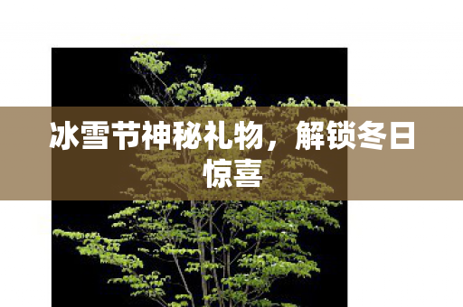 冰雪节神秘礼物，解锁冬日惊喜