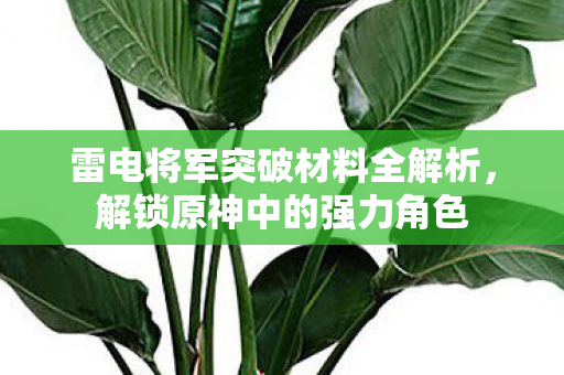 雷电将军突破材料全解析，解锁原神中的强力角色