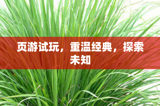 页游试玩，重温经典，探索未知