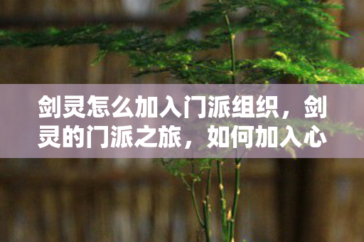 剑灵怎么加入门派组织,剑灵的门派之旅,如何加入心仪的门派 剑灵怎么加入门派组织,剑灵的门派之旅,如何加入心仪的门派