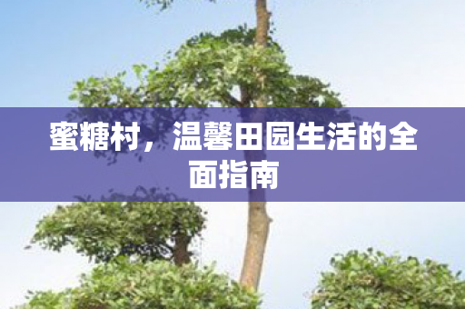 蜜糖村，温馨田园生活的全面指南