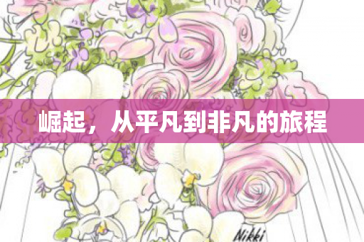 崛起，从平凡到非凡的旅程