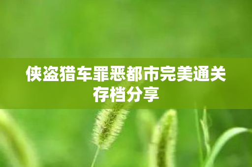 侠盗猎车罪恶都市完美通关存档分享