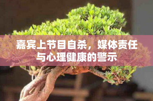 嘉宾上节目自杀，媒体责任与心理健康的警示