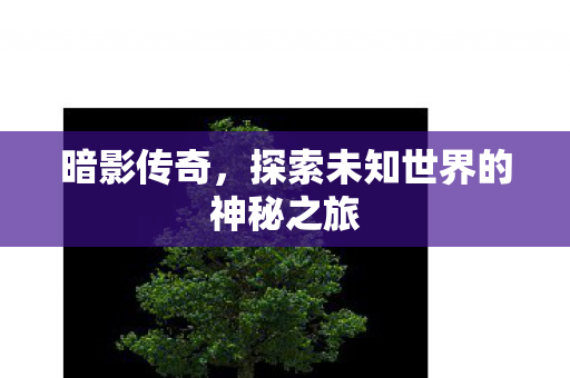 暗影传奇，探索未知世界的神秘之旅