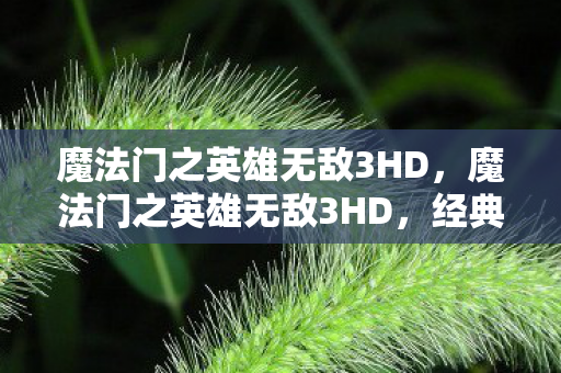 魔法门之英雄无敌3HD，魔法门之英雄无敌3HD，经典重制的传奇冒险