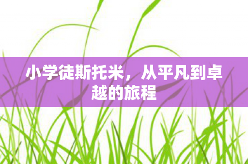 小学徒斯托米，从平凡到卓越的旅程