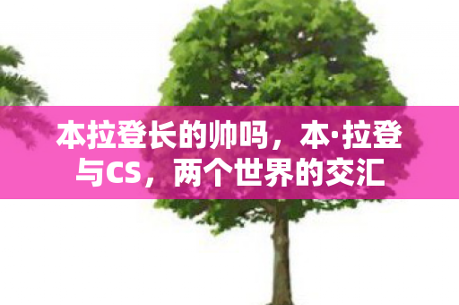本拉登长的帅吗,本·拉登与CS,两个世界的交汇 本拉登长的帅吗,本·拉登与CS,两个世界的交汇