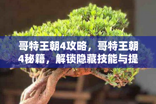 哥特王朝4攻略，哥特王朝4秘籍，解锁隐藏技能与提升战斗力的终极指南