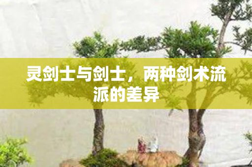 灵剑士与剑士,两种剑术流派的差异 灵剑士与剑士,两种剑术流派的差异