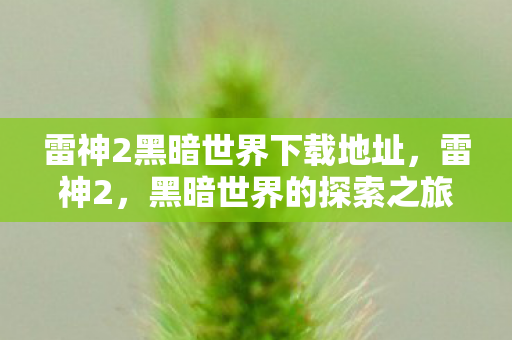 雷神2黑暗世界下载地址，雷神2，黑暗世界的探索之旅