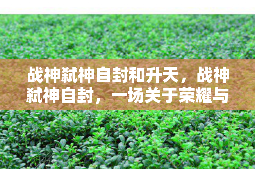 战神弑神自封和升天，战神弑神自封，一场关于荣耀与自我超越的传奇
