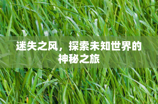 迷失之风，探索未知世界的神秘之旅