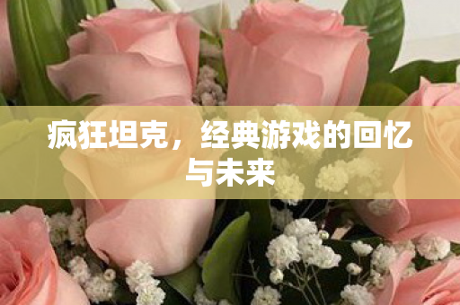 疯狂坦克，经典游戏的回忆与未来